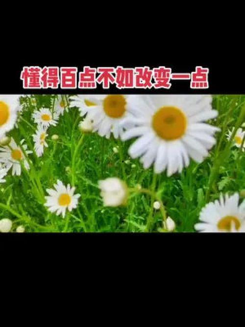 今朝善念他日果,未来硕果累累