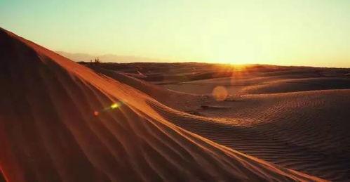 沙漠阴影,探寻神秘沙漠的神秘面纱