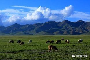 巴斯的草原,自然奇观与生态宝库的绿色画卷